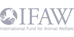 International Fund for Animal Welfare