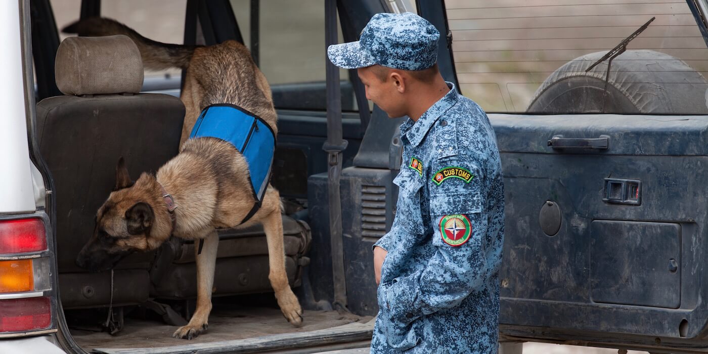 dog-officer-suv-search